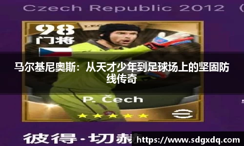 快盈VIII官网