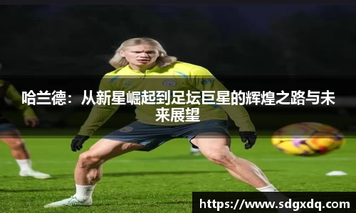 快盈VIII官网