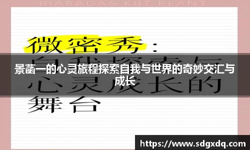 快盈VIII平台官网