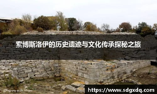 快盈VIII