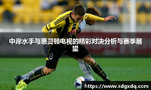 中岸水手与惠灵顿电视的精彩对决分析与赛季展望