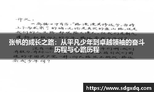 快盈VIII