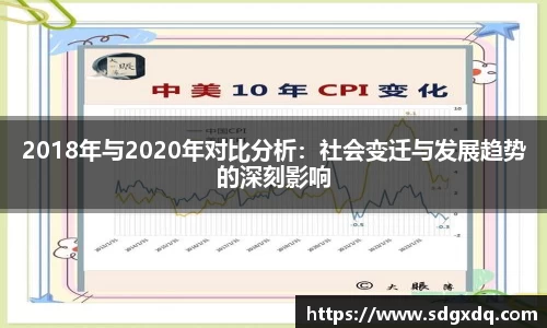 2018年与2020年对比分析：社会变迁与发展趋势的深刻影响