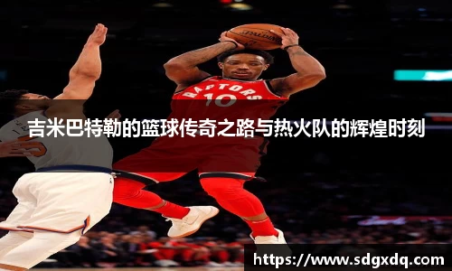 快盈VIII
