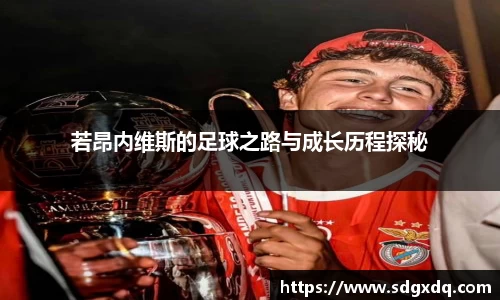 快盈VIII官网